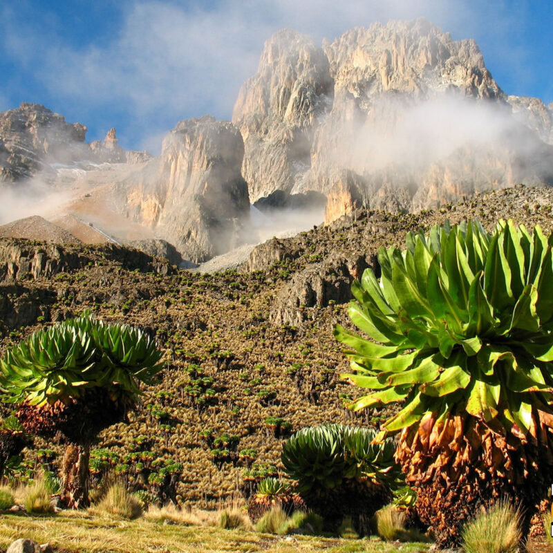 A Sacred Journey to Mt. Kenya